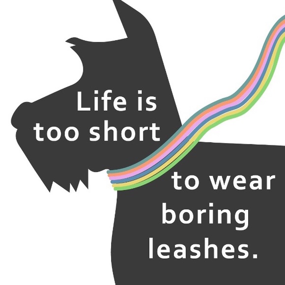 Elegant Small Dog Scarf Leash - Picture 3 of 7